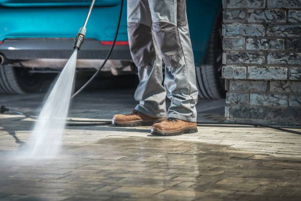 Best Roof Washing  in Gig Harbor, WA